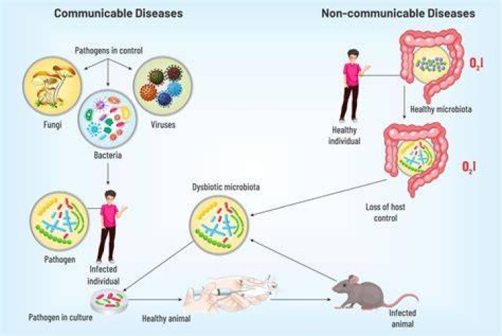 What are some fictional diseases?