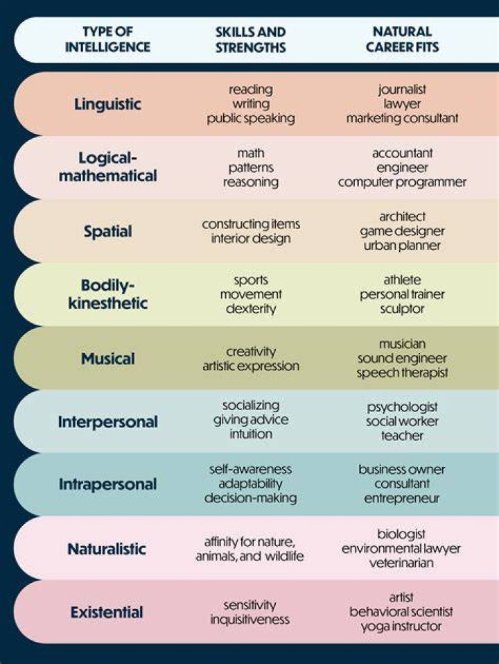 What are the 3 types of intelligence?