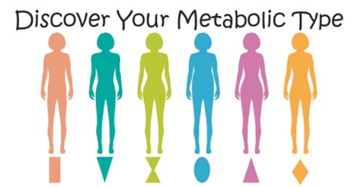 What are the 3 types of metabolism?