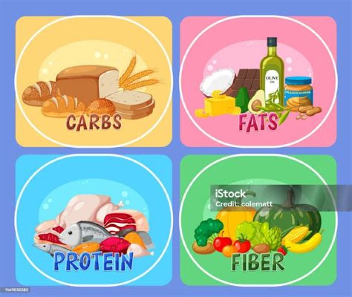 What are the 4 main food groups?