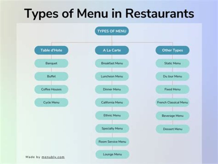 What are the 4 types of menus?