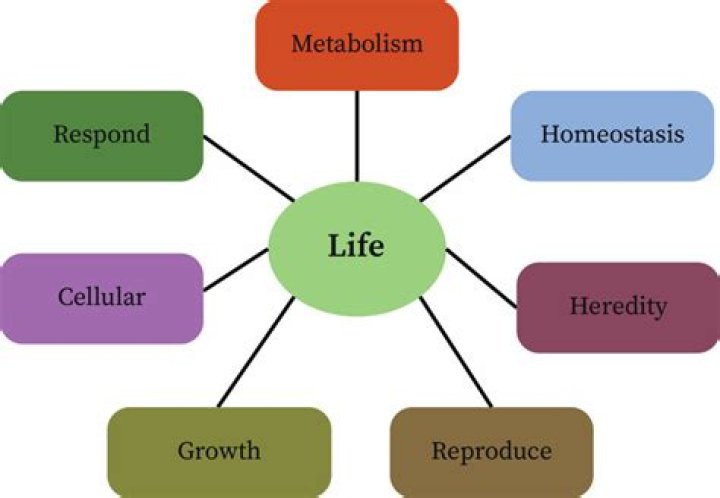 What are the 5 characteristics of life?