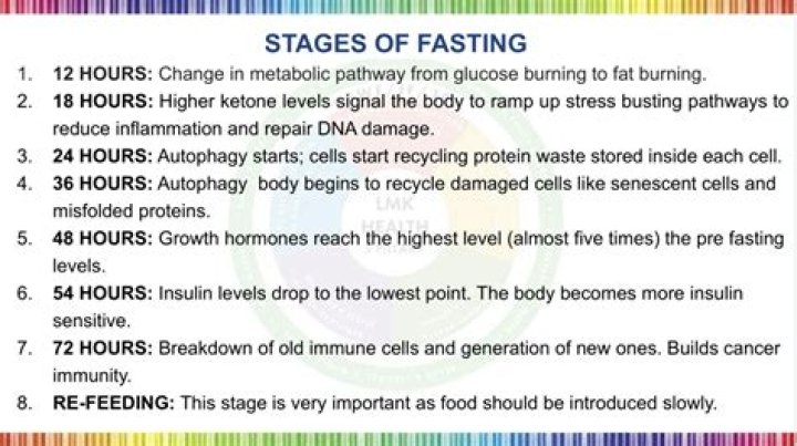 What are the 5 stages of fasting?