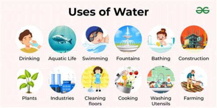 What are the 5 uses of water?