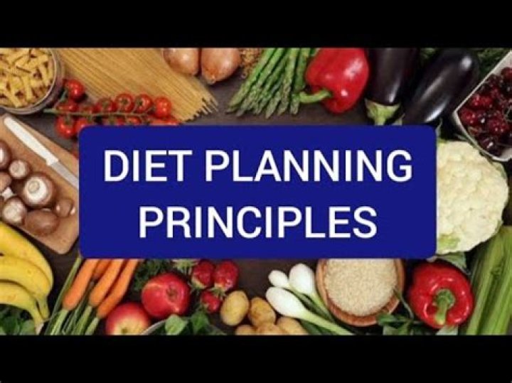 What are the 6 diet planning principles?