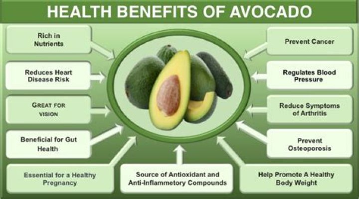 What are the benefits of avocado pudding?