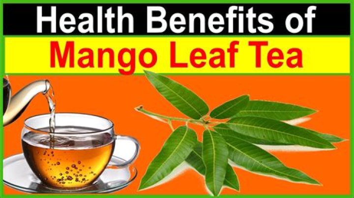 What are the benefits of drinking mango tea?