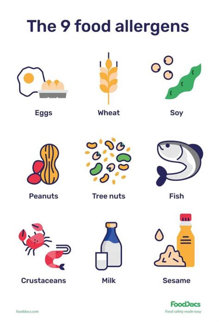What are the Big 8 allergens?