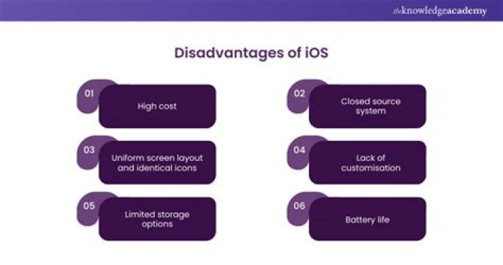 What are the disadvantages of Apple Pay?