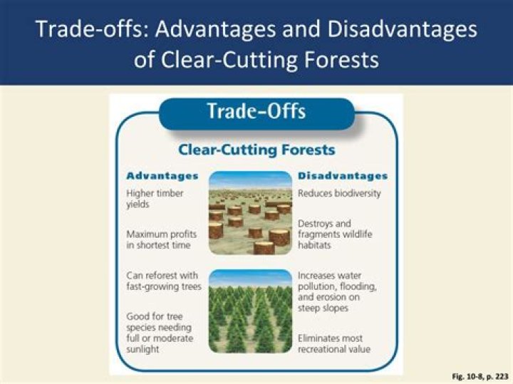 What are the disadvantages of clear cutting?