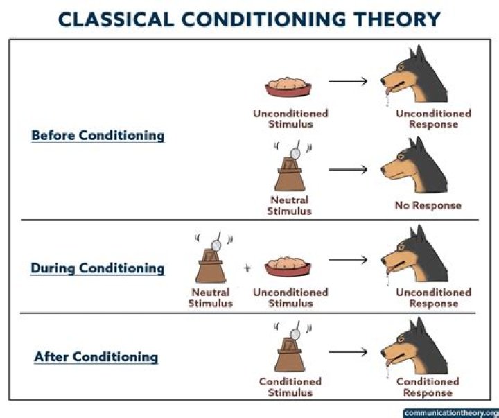 What are the main principles of classical theory?