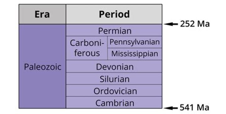What are the periods of time in order?