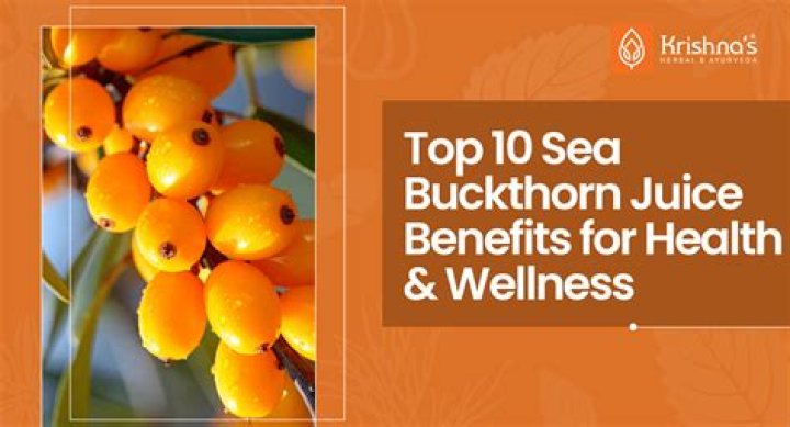What are the side effects of sea buckthorn?