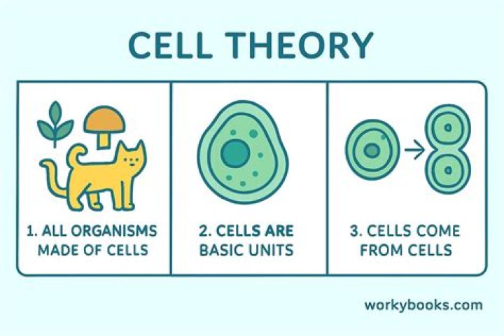 What are the three components of the cell theory quizlet?