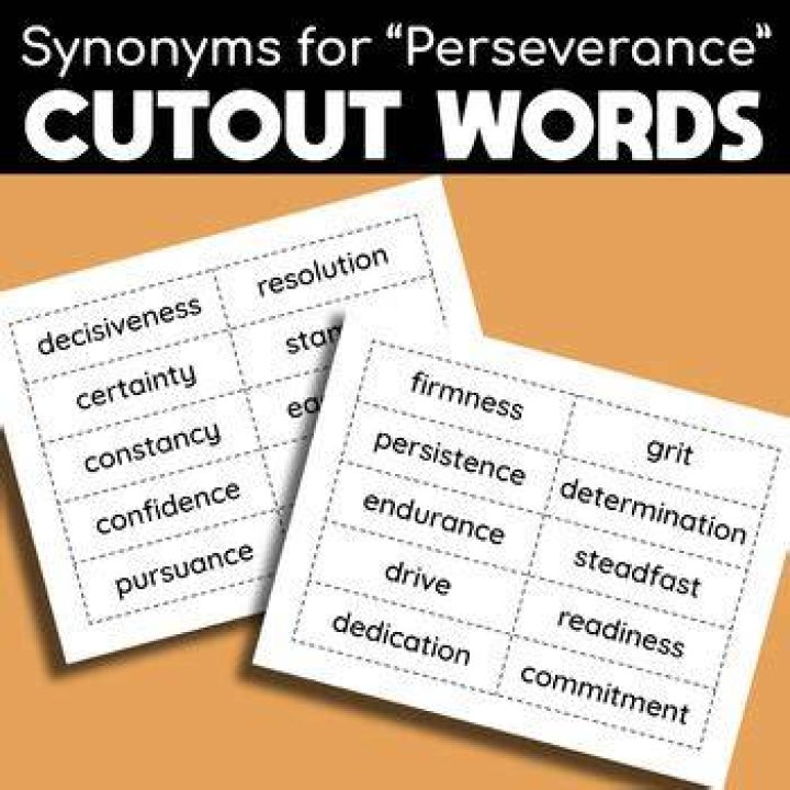 What are two synonyms for perseverance?