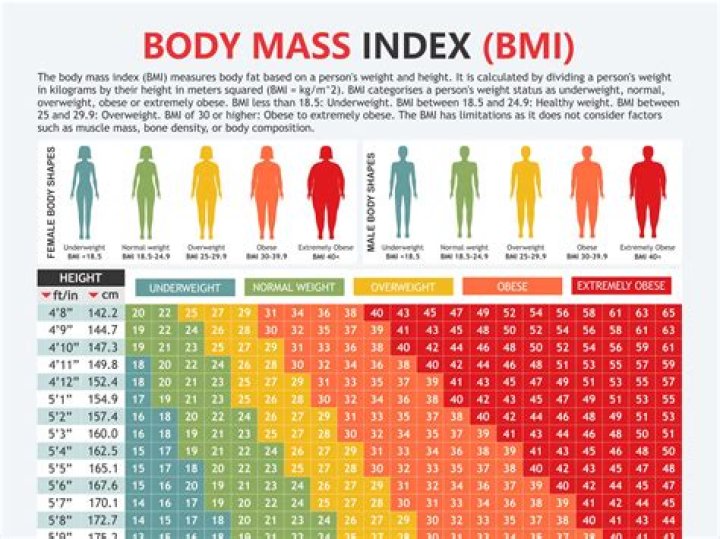 What BMI is most attractive?