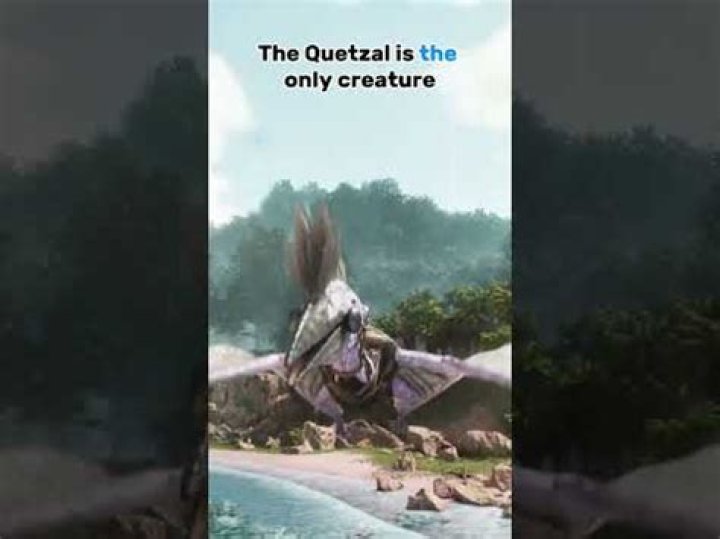 What can a quetzal carry?