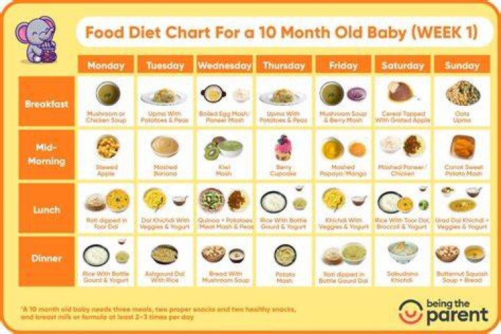 What can babies eat at Chipotle?