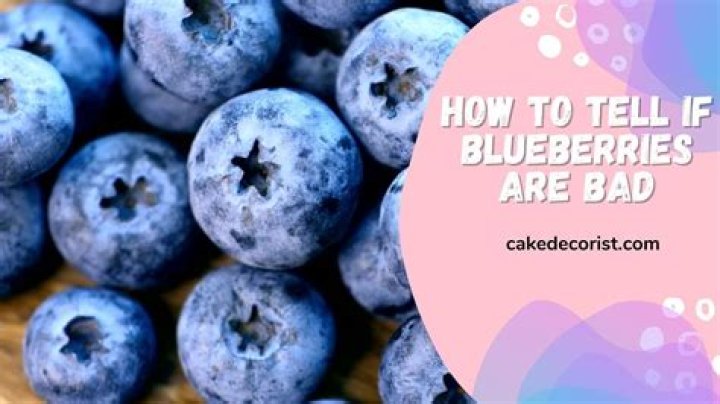 What can I do with rotten blueberries?