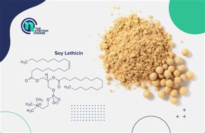 What can I use in place of soy lecithin?