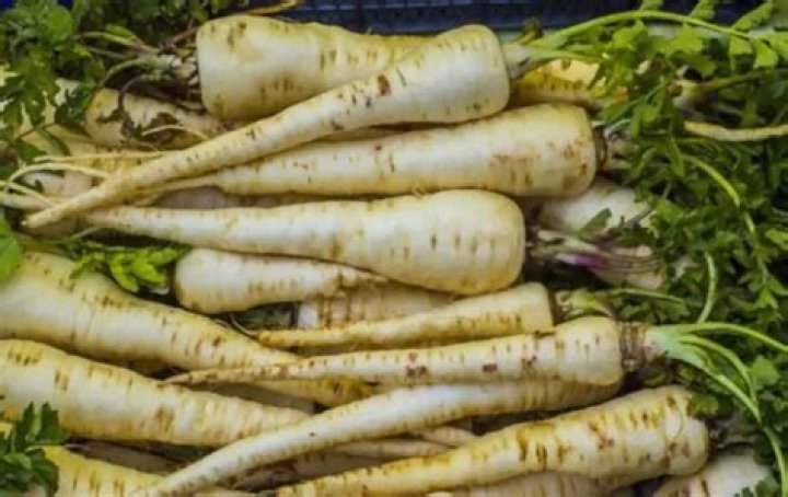 What can you not plant near parsnips?
