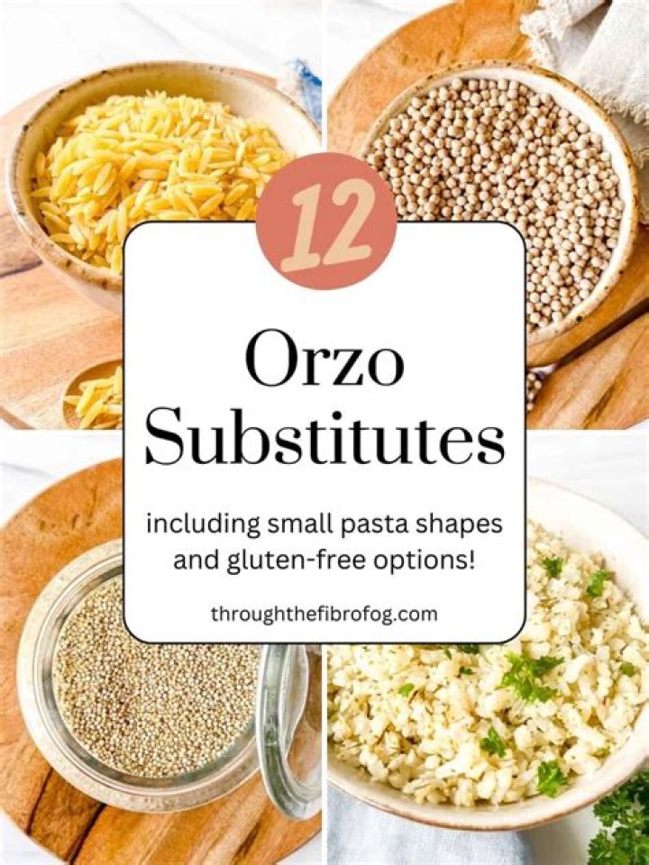 What can you substitute orzo with?