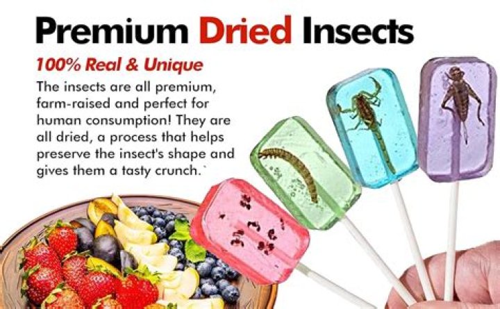 What candy is made out of bugs?