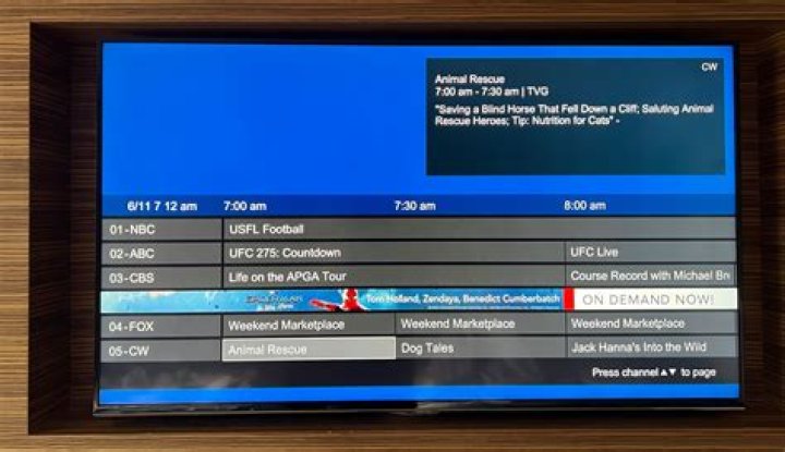 What channel is Y&R on at night?
