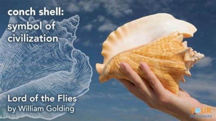 What chapter does the conch break?
