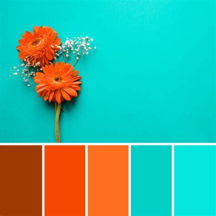 What color goes well with teal?