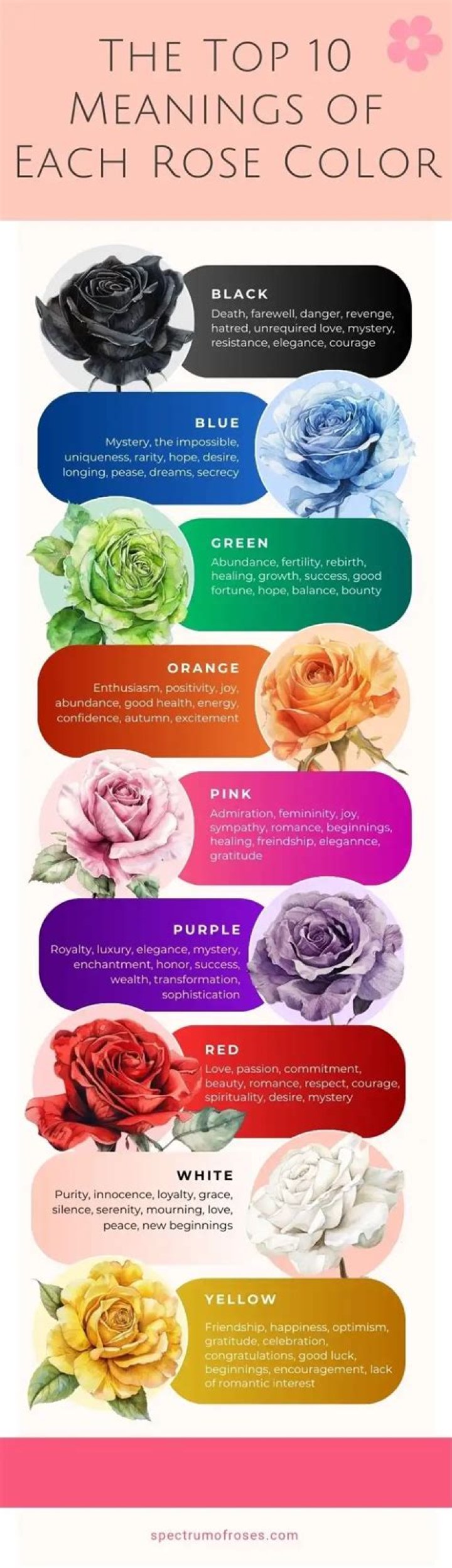 What color rose for death?