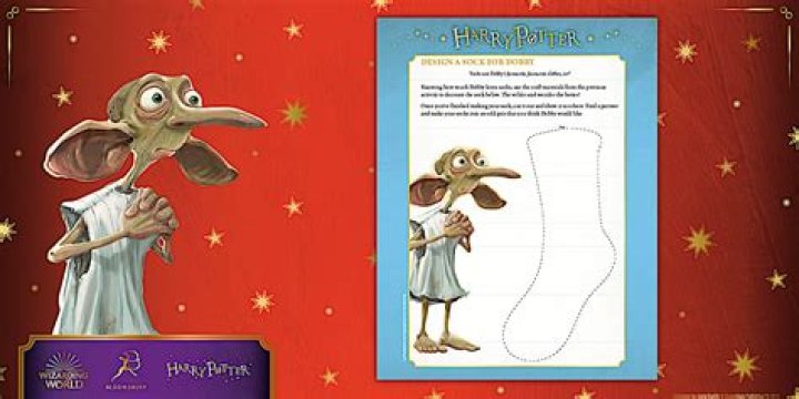 What Colour sock freed Dobby?