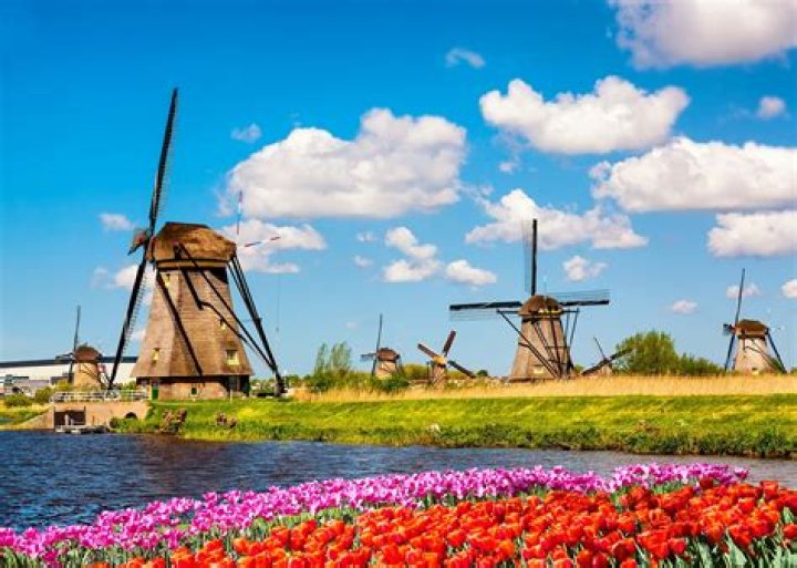 What country is famous for tulips and windmills?
