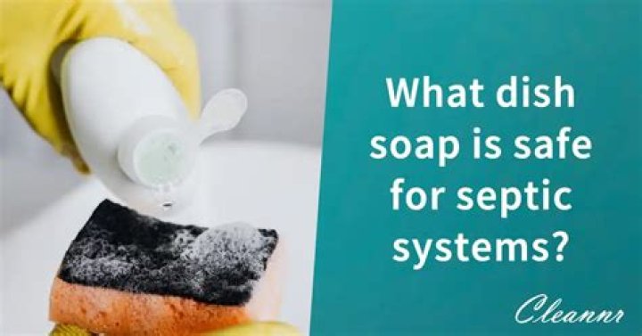 What dish soap is best for septic systems?