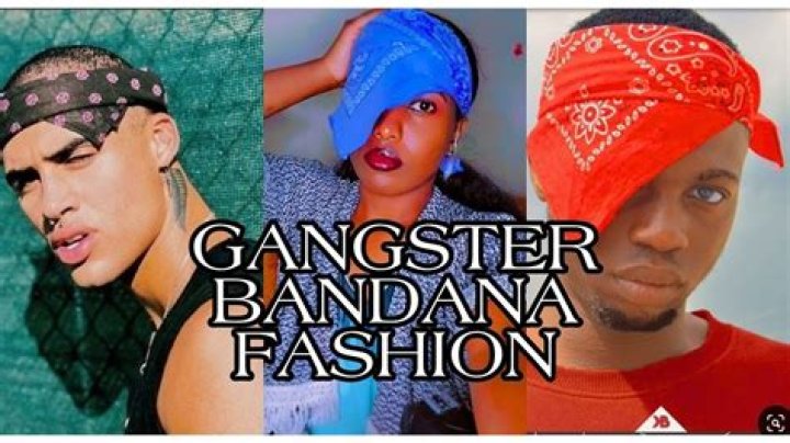 What do Mexican gangsters call their girlfriends?