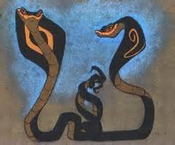 What do nag and Nagaina most likely symbolize?