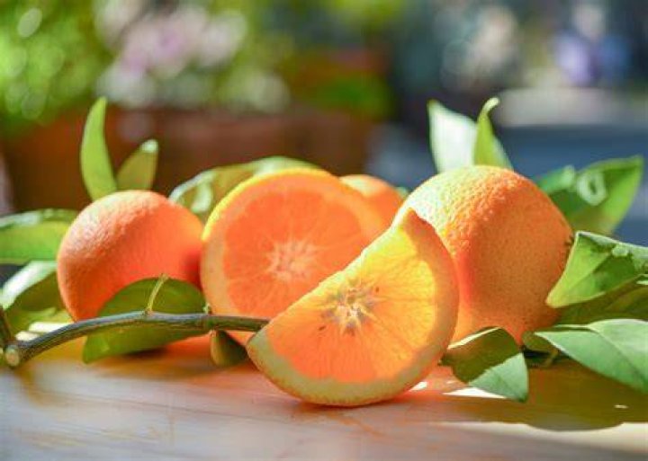 What do rotten oranges smell like?