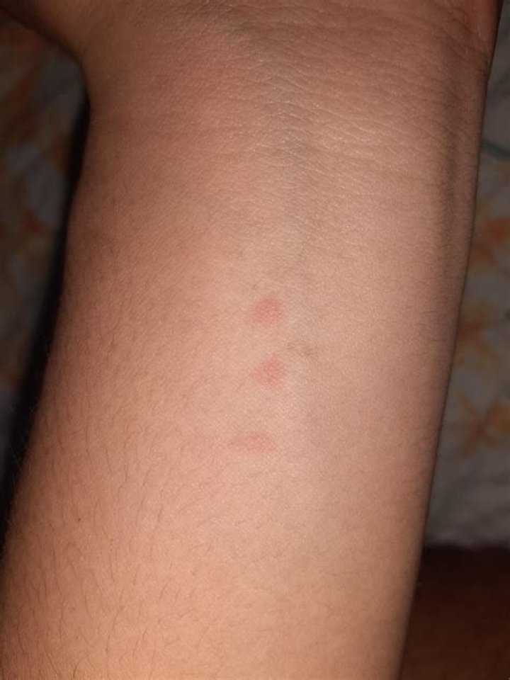 What do three dots in a row mean?
