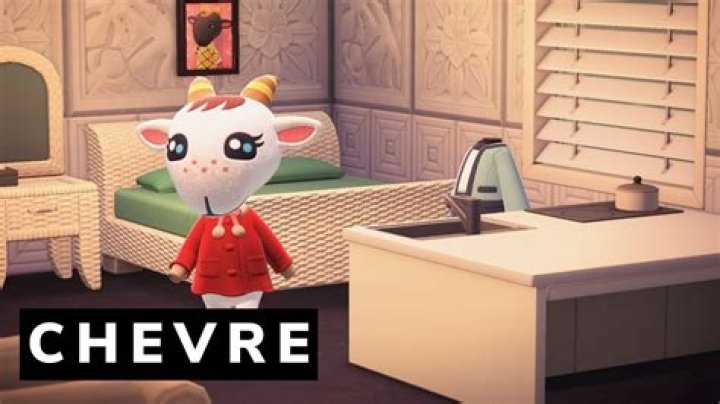 What do you give Chevre in Animal Crossing?