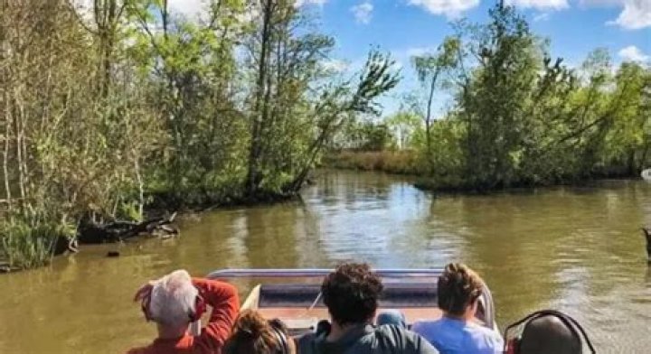 What do you wear to a swamp tour in New Orleans?
