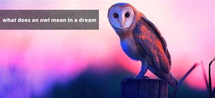 What does a black owl mean?