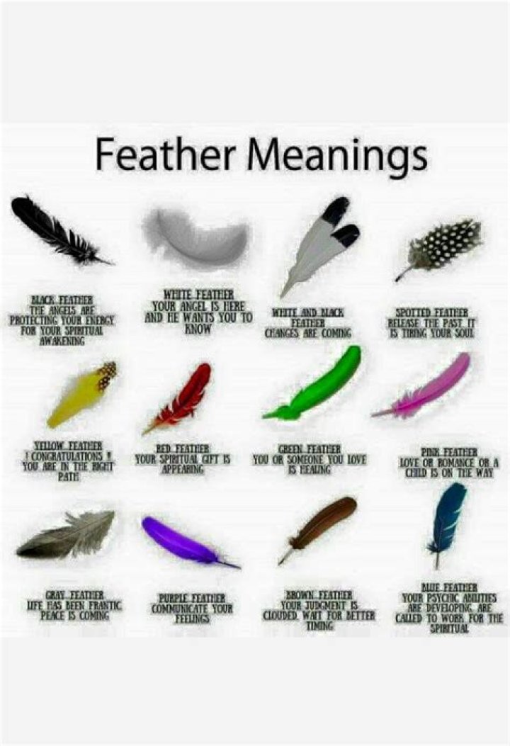 What does a feather symbolize?