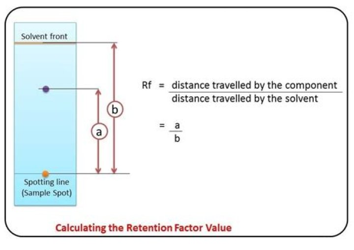 What does a low RF value mean?