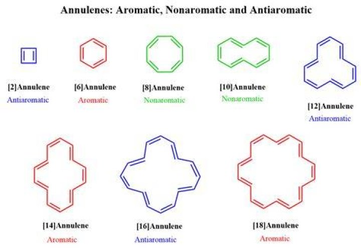 What does Annulated mean?