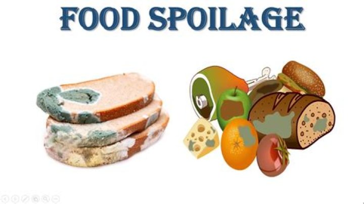 What does being Spoilt mean?