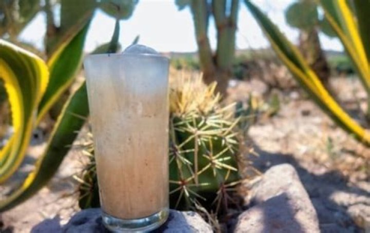 What does cactus water taste like?