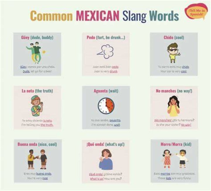What does Chalupa mean in Spanish slang?