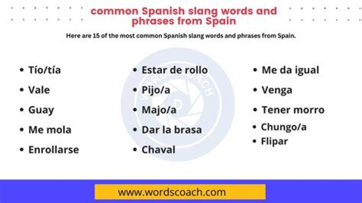 What does chopo mean in Spanish slang?