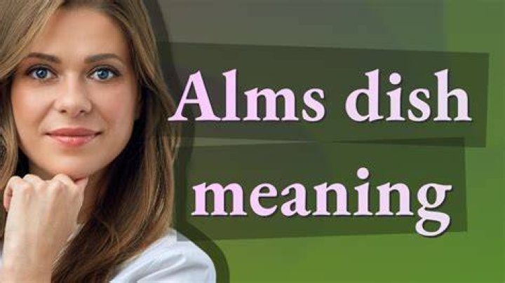 What does dish mean in slang?