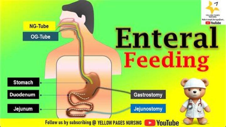 What does enteral route mean?